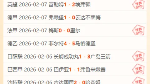 甲A再起波澜：队务抗议判罚，冲突裁判成焦点